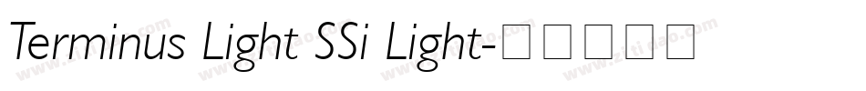 Terminus Light SSi Light字体转换